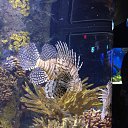 ���� Tania, �������, 55 ��� - ��������� 23 ������� 2014 � ������ ���� ����������