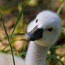 ����� � ��������-��� �))))) �� ������� �....�