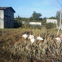 ���� ������, ��������, 69 ��� - ��������� 22 ������� 2014 � ������ ��� �������