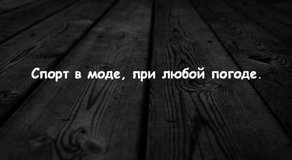 SportFeed - 19  2014  16:47