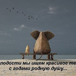 ���� ������, �����, 67 ��� - ��������� 16 ������ 2014