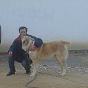 ���� Cezar, �������, 51 ��� - ��������� 26 ������ 2014 � ������ ���� ����������