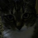 ��� ������ �� ������� ���� ����������