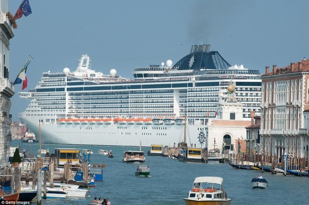   MSC Divina 5*  , .