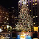 ���� ������, �������������� - ��������� 9 ������ 2014 � ������ ������ ��������