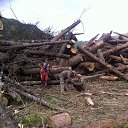 ���� Manfred, ������, 63 ���� - ��������� 7 ������� 2014 � ������ ���� ����������