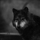 ���� ���������, �����������, 74 ���� - ��������� 17 ������ 2014 � ������ ���� ����������