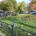 ���������� ������ �� ������� ���� ������