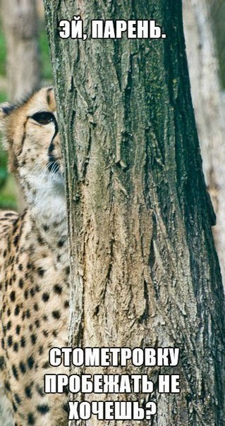 ��� ������� :)