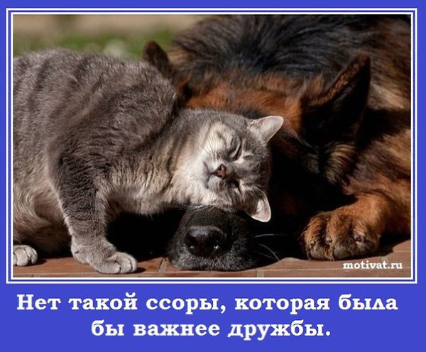 ***�����...***.������� , ��� ��� ���� � ����� �������� � ������....� ������ � �������� ����� ...