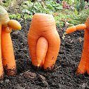 ���� �������, ������� - ��������� 3 �������� 2014 � ������ ������ ��������