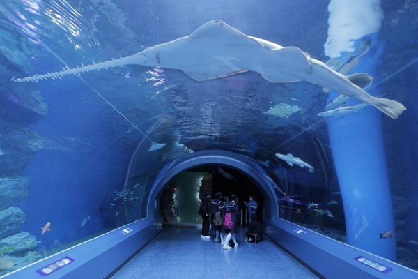 Подписывайтесь на нас:;-).http://fotostrana.ru/public/233467 Аквариум Shinagawa Aqua Stadium в ...