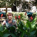 ���� �������, ������������ - ��������� 24 ������� 2014 � ������ ���� ����������