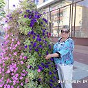 ���� �����, ������� - ��������� 14 ������� 2014 � ������ ���� ����������