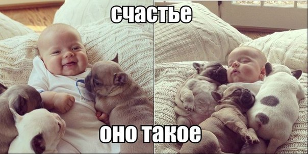 Счастливая семья - 8 ноября 2014 в 14:03