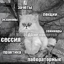 ���� ������, ������� - ��������� 23 ������ 2014 � ������ ���� ����������