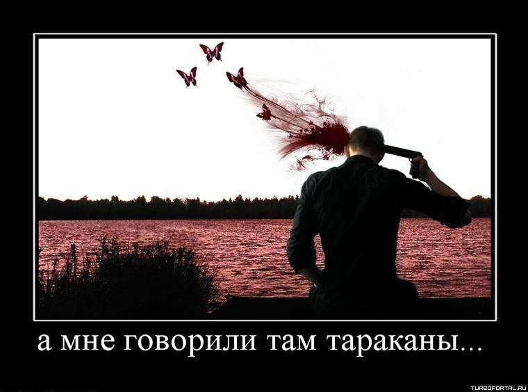 ���� ��������� - 3 �������� 2014 � 00:05