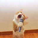  Tanya, , 41  -  21  2014    