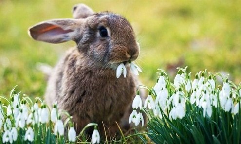 ����� ������� - 10 ������� 2014 � 07:03