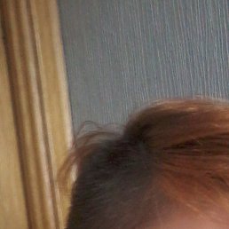 ����� ���������, ���������, 43 ����