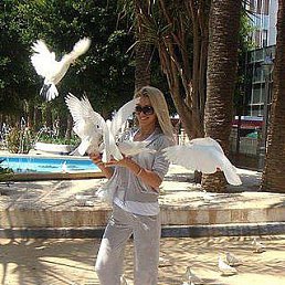 ���� ~������~, ��������� - ��������� 11 ������� 2014