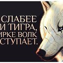 ���� Igor Strannik !!!, ������ - ��������� 6 ������ 2014 � ������ ������ ��������