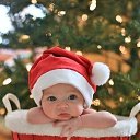 ���� ���������, ��������� - ��������� 28 ������ 2014 � ������ ������ ��������