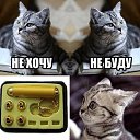 ���� ����, ������, 38 ��� - ��������� 30 �������� 2014 � ������ ���� ����������