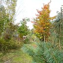 �������� � ��������� ��������-����� � ������..))) �� ������� ������� ������� ���� �����...�