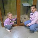 ��������� ����� ������ �� ������� ���� ����������