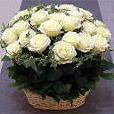 ���� �������, �����-���������, 54 ���� - ��������� 4 ������� 2014 � ������ ������ ��������