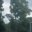 ���� �������, ��������� - ��������� 7 ������ 2014 � ������ �����𸸻