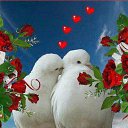 ���� Ignat, �������, 61 ��� - ��������� 20 �������� 2014 � ������ ���� ����������