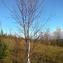 ����������� 1. �� ������� �������