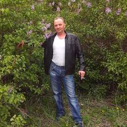 ������, ����, 49 ���