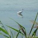 ���� ����, ����, 54 ���� - ��������� 6 ������� 2014 � ������ ���� ����������