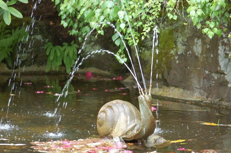   (Butchart Gardens, , ).  (Butchart Gardens)   ... - 10