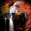 ���� �����, ������� - ��������� 21 ������� 2014 � ������ ������ ��������