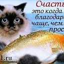 ���� ������, ��������, 46 ��� - ��������� 6 ������� 2014 � ������ ������ ��������