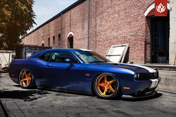 Dodge Challenger 392 HEMI on Vip Modular Wheels