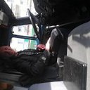 ���� ����, ������, 41 ��� - ��������� 12 �������� 2014