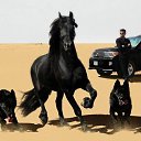 ���� ������, ������, 51 ��� - ��������� 14 �������� 2014