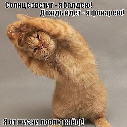 ���� Sergei, ������ - ��������� 11 �������� 2014