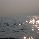 ���� ���������, ��� - ��������� 13 ������ 2014 � ������ �Indonesia�