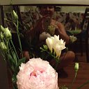 ���� ���, ����������� - ��������� 2 ������� 2014