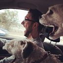 ���� ������, ����������� - ��������� 5 ������� 2014 � ������ ���� ����������