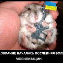 ���� �����, ��������, 47 ��� - ��������� 12 ������ 2014 � ������ ���� ����������