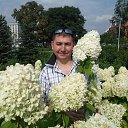  !, , 28  -  31  2014   . .