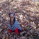 ���� �������, �����������, 56 ��� - ��������� 20 ������� 2014