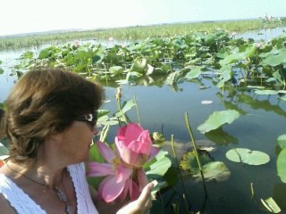 ���� �����, ���������� - ��������� 15 �������� 2014